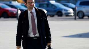 FDP-Politiker Buschmann rechnet mit schnellem Abschluss der Koalitionsgespr&auml;che 