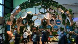G20 einigt sich auf 1,5 Grad Ziel - Klimakonferenz in Glasgow hat begonnen