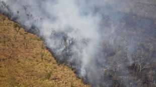 Waldbrände zerstören seltene Felsmalereien in Bolivien 