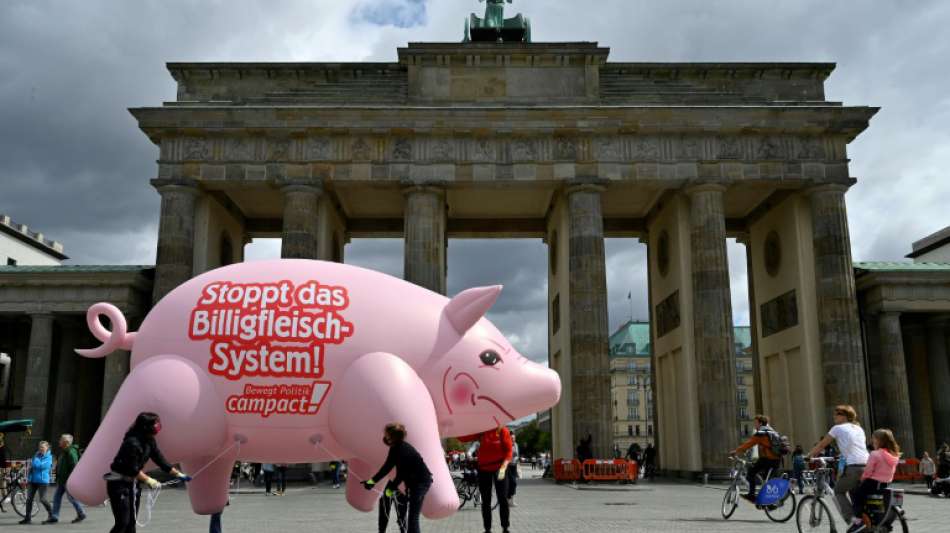 Kl&ouml;ckner stellt Ergebnisse einer Studie zum Umbau in der Nutztierhaltung vor