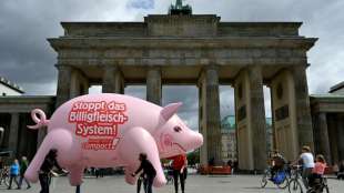 Kl&ouml;ckner stellt Ergebnisse einer Studie zum Umbau in der Nutztierhaltung vor