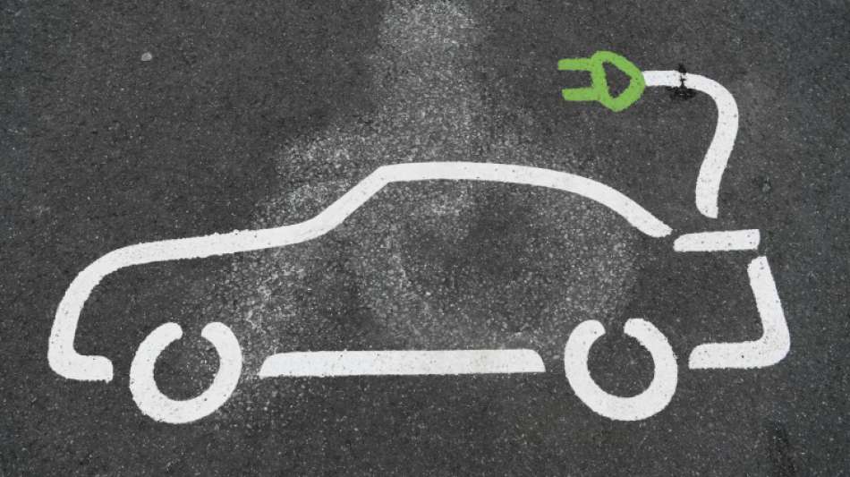 Zwei von drei Führerscheinbesitzern offen für E-Autos