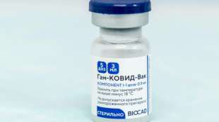 Kurz und Putin wollen gemeinsame Produktion von Sputnik V ausloten