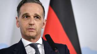 Maas fordert "dringend" medizinische Behandlung f&uuml;r Nawalny