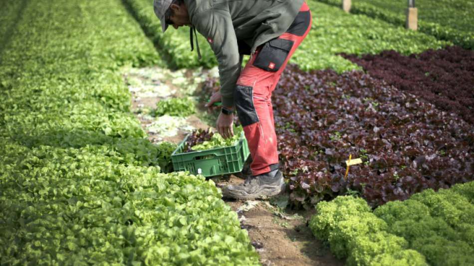 Bundestag beschließt Gesetz gegen unfaire Praktiken des Lebensmittelhandels