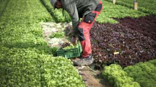 Bundestag beschließt Gesetz gegen unfaire Praktiken des Lebensmittelhandels
