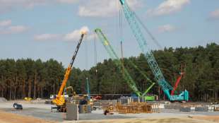 Kritik an Genehmigungsverfahren wegen verzögerten Starts der Tesla-Fabrik