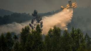 1300 Feuerwehrleute im Einsatz gegen verheerende Waldbrände in Portugal