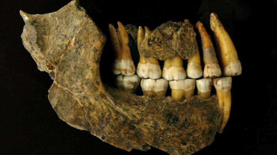 Studie: Neandertaler in Nordeuropa viel fr&uuml;her ausgestorben als bislang gedacht