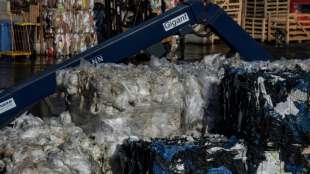 Abfallmenge im Jahr 2019 weiter auf hohem Niveau