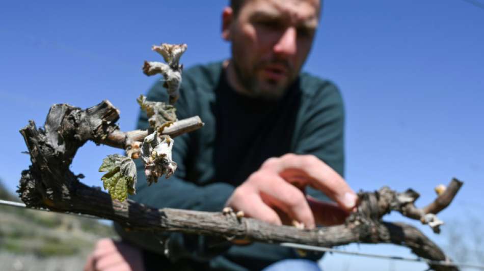 Mit Feuern gegen den Frost im Frühling