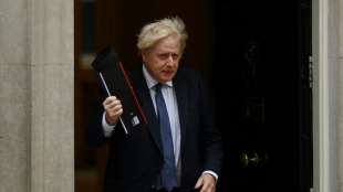 Johnson und Biden sprechen vor G7-Gipfel miteinander