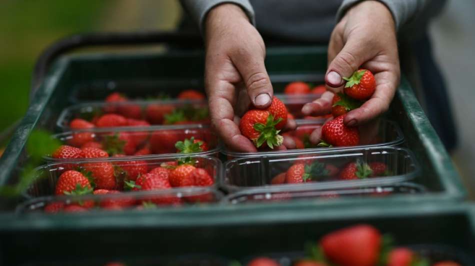 Verbrauchersch&uuml;tzer f&uuml;r verpflichtende Herkunftsangaben bei Tiefk&uuml;hlprodukten