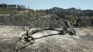 Spanien wird inmitten der Hitze von Waldbränden heimgesucht