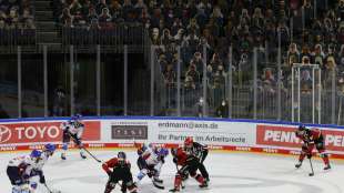 Eishockey: DEL erlaubt Ligaspiele w&auml;hrend Olympia