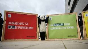 Studie: Konjunkturprogramm  verfehlte Klimawirkung