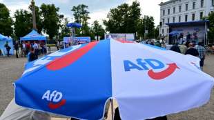 AfD-Bundestagsfraktion verliert m&ouml;glicherweise erstes Mitglied