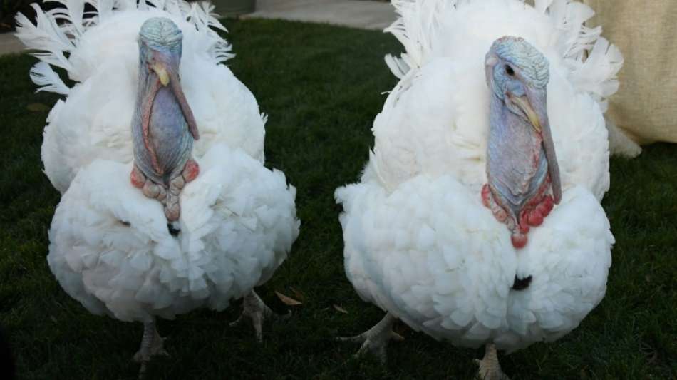 US-Präsident Joe Biden begnadigt vor Thanksgiving zwei Truthähne