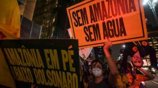 Bericht: Brasiliens Treibhausgasaussto&szlig; stieg 2020 trotz Pandemie deutlich
