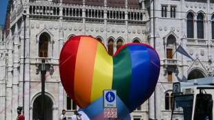 Umstrittenes Homosexuellen-Gesetz in Ungarn in Kraft getreten