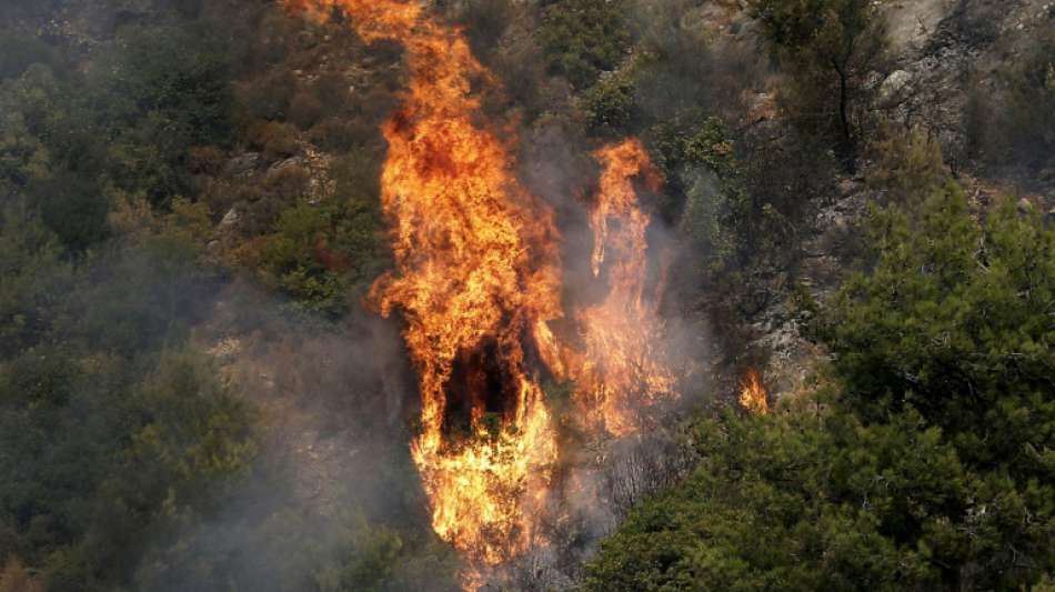 Dutzende Waldbrände wüten in Teilen Syriens und des Libanon