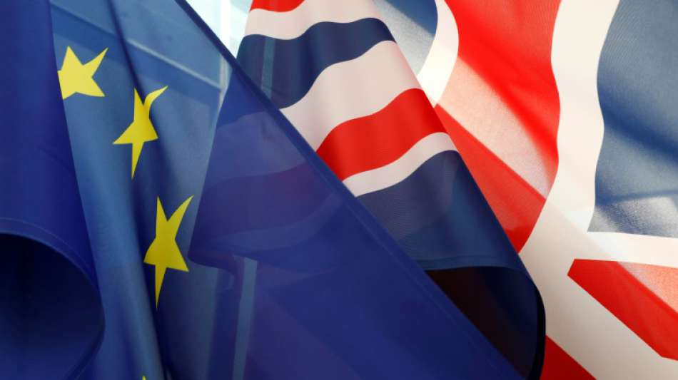 Nordirische DUP lehnt Brexit-Plan der britischen Regierung ab 