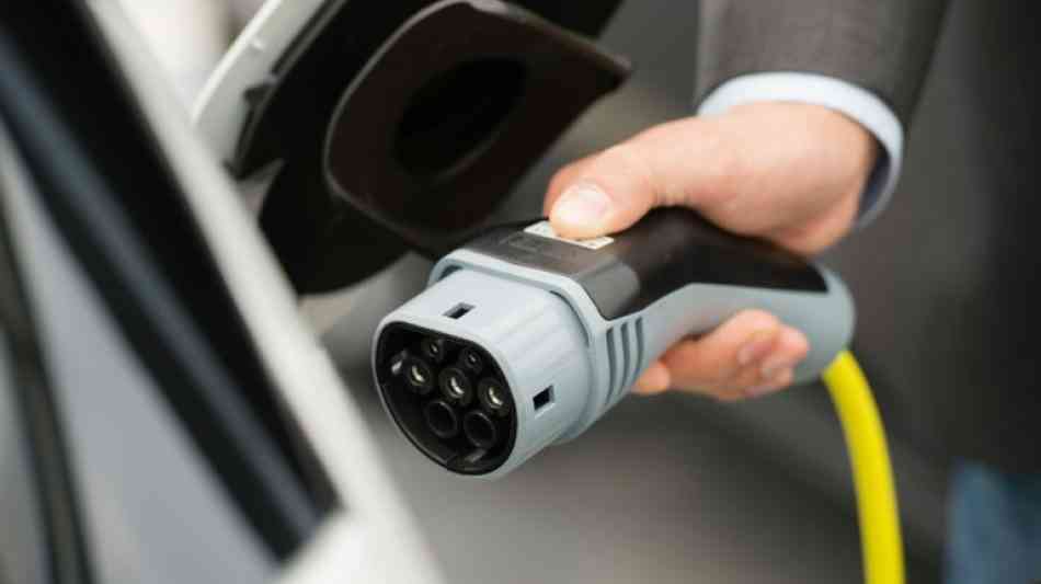 Auto: Industrie warnt bei Elektroauto-Boom vor Rohstoffknappheit