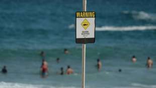 Mann nach mutma&szlig;lichem Hai-Angriff in Australien vermisst