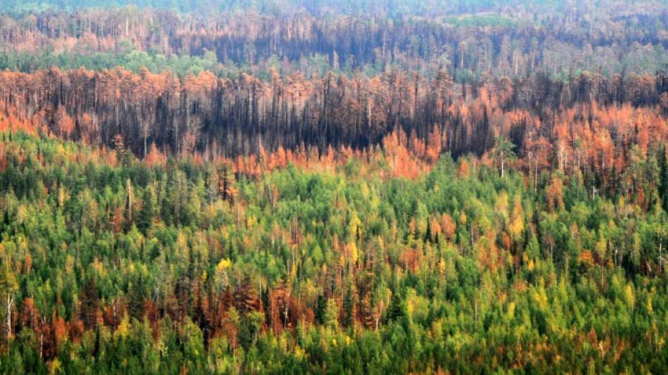 Russland verzeichnet 2020 neuen durchschnittlichen W&auml;rmerekord 