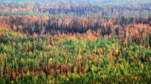 Russland verzeichnet 2020 neuen durchschnittlichen Wärmerekord 