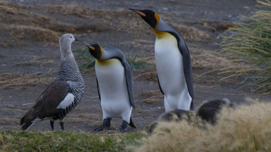 UN-Biodiversit&auml;tsgipfel soll im Oktober nachgeholt werden