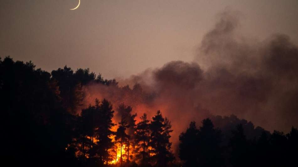 Neuer Waldbrand im S&uuml;den der griechischen Insel Eub&ouml;a ausgebrochen