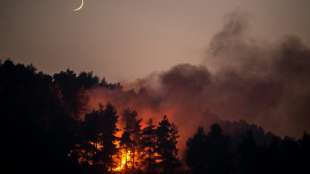 Neuer Waldbrand im S&uuml;den der griechischen Insel Eub&ouml;a ausgebrochen