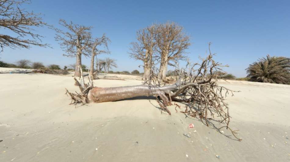 UNO: Klimakrise bedroht mehr als 100 Millionen der &auml;rmsten Menschen in Afrika