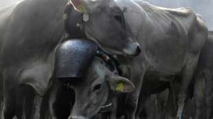 Agrarministerkonferenz berät über Verteilung der EU-Gelder