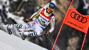 WM-Riesenslalom: Schmid und Pinturault scheitern - zweites Gold f&uuml;r Faivre
