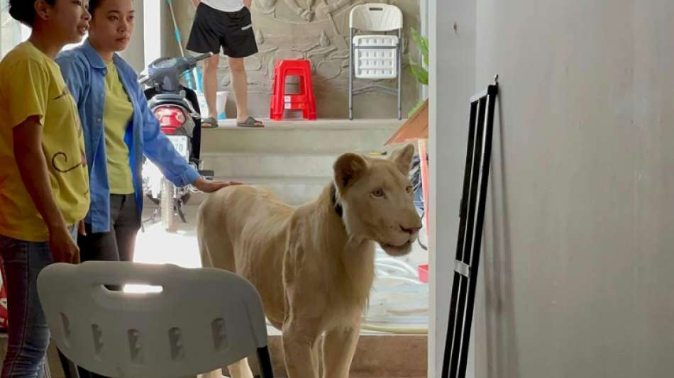 Beh&ouml;rden beschlagnahmen L&ouml;wen aus einer Luxusvilla in Phnom Penh