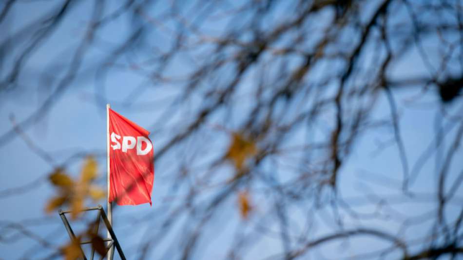 Dreyer mahnt SPD vor Parteitag zur Geschlossenheit