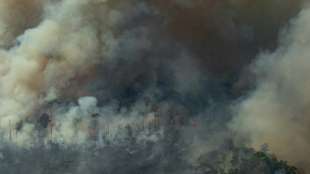 Brasilien setzt große Militärflugzeuge im Kampf gegen Waldbrände ein