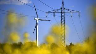 Verbraucherschützer fordern bei Strompreisen Entlastung