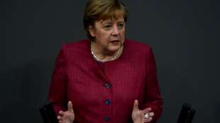 Kanzlerin Merkel spricht im Europarat