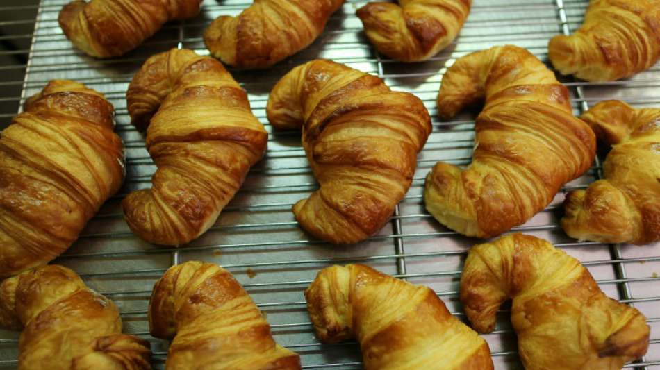 Vermeintlich gefährliches Tier in Polen entpuppt sich als Croissant