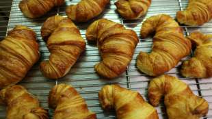 Vermeintlich gefährliches Tier in Polen entpuppt sich als Croissant