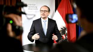 Schallenberg: &Ouml;sterreich bleibt "verl&auml;sslicher" Partner in der EU