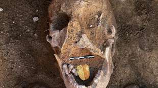 Forscher entdecken ägyptische Mumien mit vergoldeten Zungen 