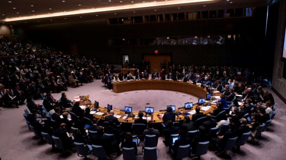 Russland und China legen Veto gegen UN-Resolution zu Waffenruhe für Idlib ein
