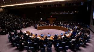 Russland und China legen Veto gegen UN-Resolution zu Waffenruhe für Idlib ein