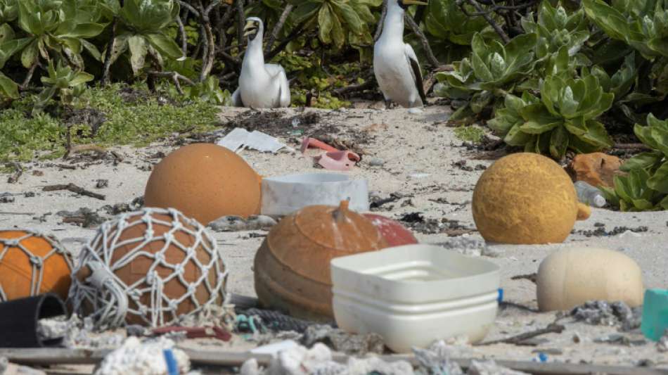 Unesco-Welterbe-Insel wird von Plastikmüll überschwemmt