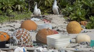 Unesco-Welterbe-Insel wird von Plastikmüll überschwemmt