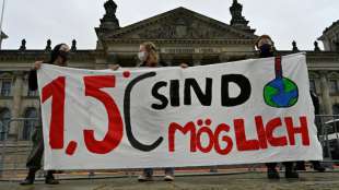 Fridays for Future ruft erneut zu globalem Klimastreik auf